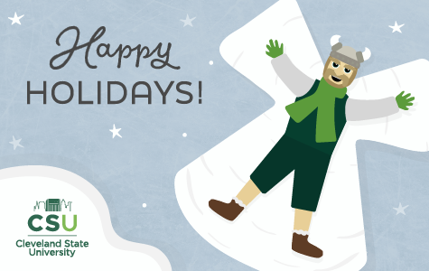 Happy Holidays from Magnus the Viking!